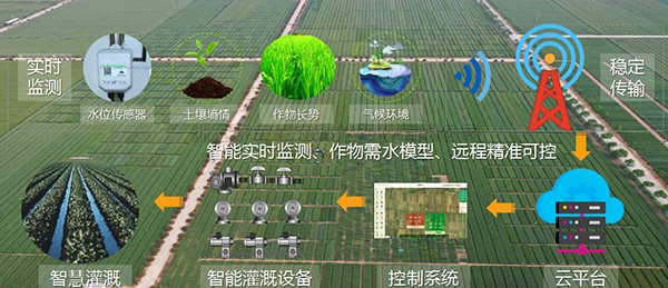 茄子视频免费观看：以現代種業標準，助力製種大縣建設任...