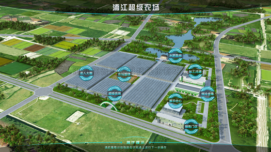 浦江超級農場：科技賦能讓種植更高效