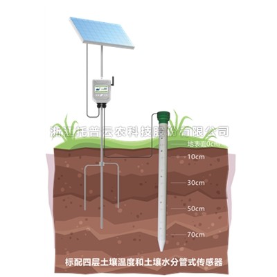 管式茄子视频色板APP墒情監測站TPGSQ-4