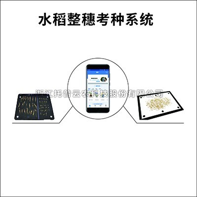 水稻整穗考種儀：一款基於圖像識別技術的水稻整穗考種測量工具