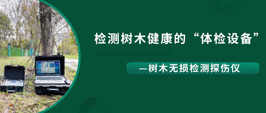 樹木無損檢測探傷儀精準檢測樹木健康狀況，給出專業治療方案
