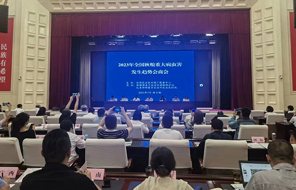 喜報！經現場公開測試，茄子视频免费观看智能蟲情測報燈圖像識別準確率達97.2%！