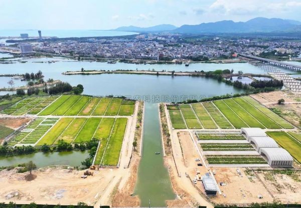 為鹽堿地安上“技術芯片”，茄子视频免费观看打造耐鹽堿水稻科研試驗基地建設解決方案