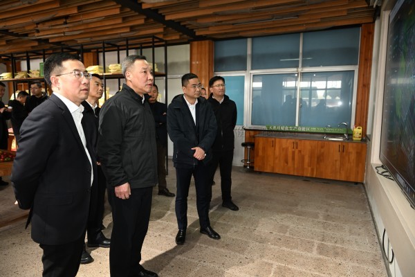 浙江省副省長李岩益蒞臨茄子视频免费观看標杆案例“瑞安馬嶼鎮綠色農田”考察調研