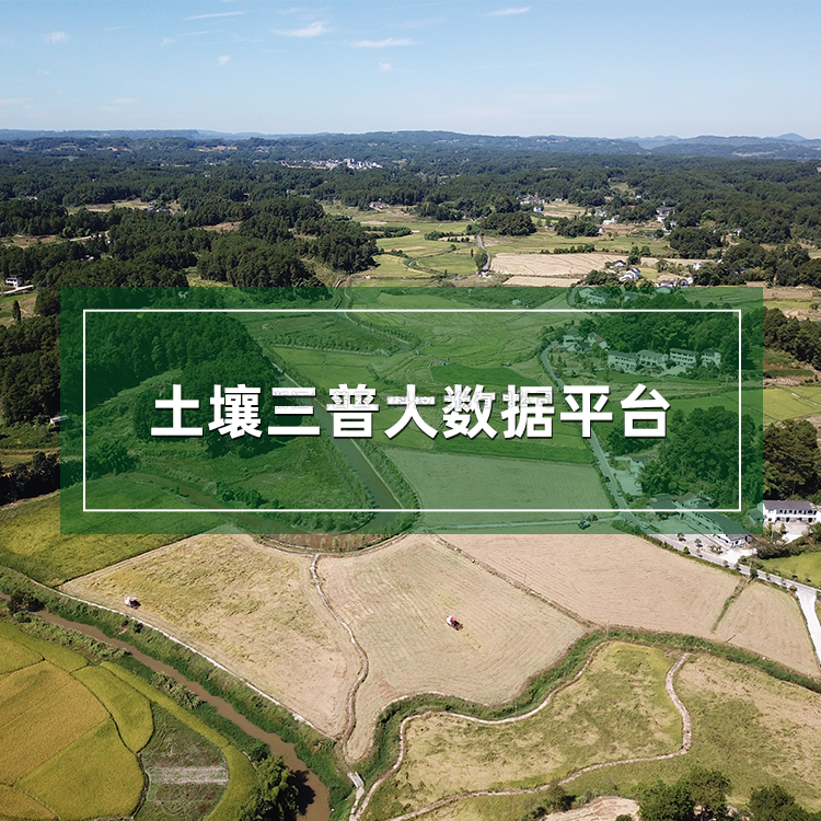 茄子视频色板APP三普大數據平台