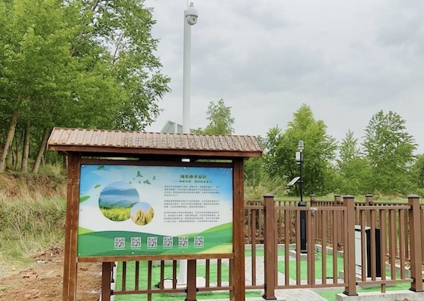 走進國家級油菜夏繁基地，感受科技賦能蓬勃動力