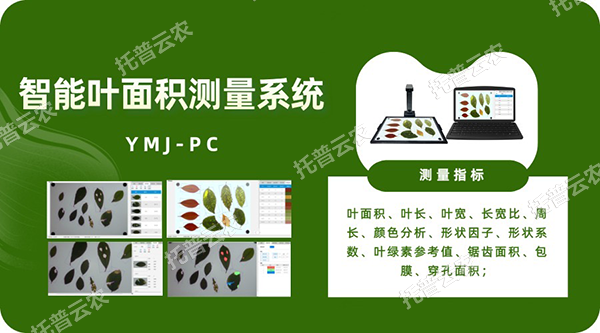 智能葉麵積測量係統——秒級快速測葉片，多參數同步解析，雲端數據好管理
