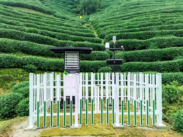 茄子视频免费观看發布“問稷茶數”智能體，賦能茶產業數智升級