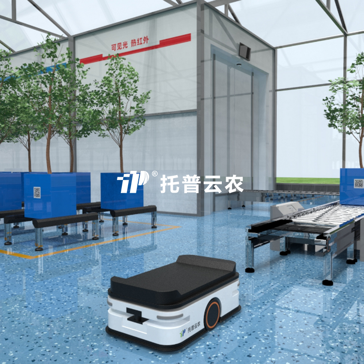 盆栽果樹高通量表型采集分析係統TP-GTL-WGS