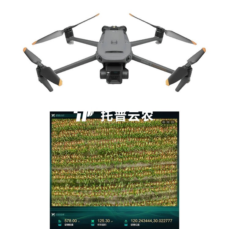 玉米表型生長監測係統 TP-KJG-YM