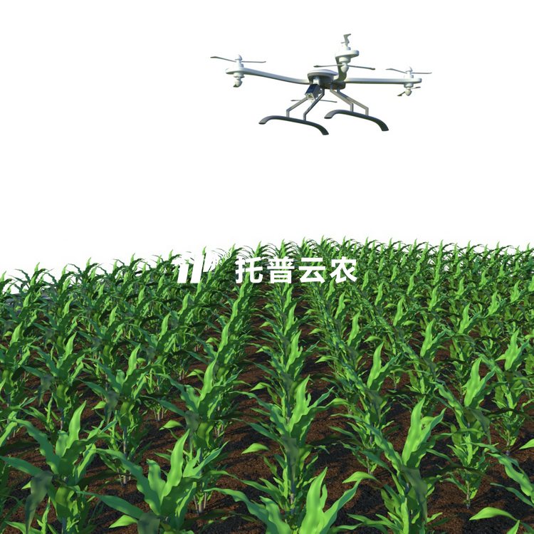 田間無人機式高通量植物表型采集分析平台TP-GTL-AIR