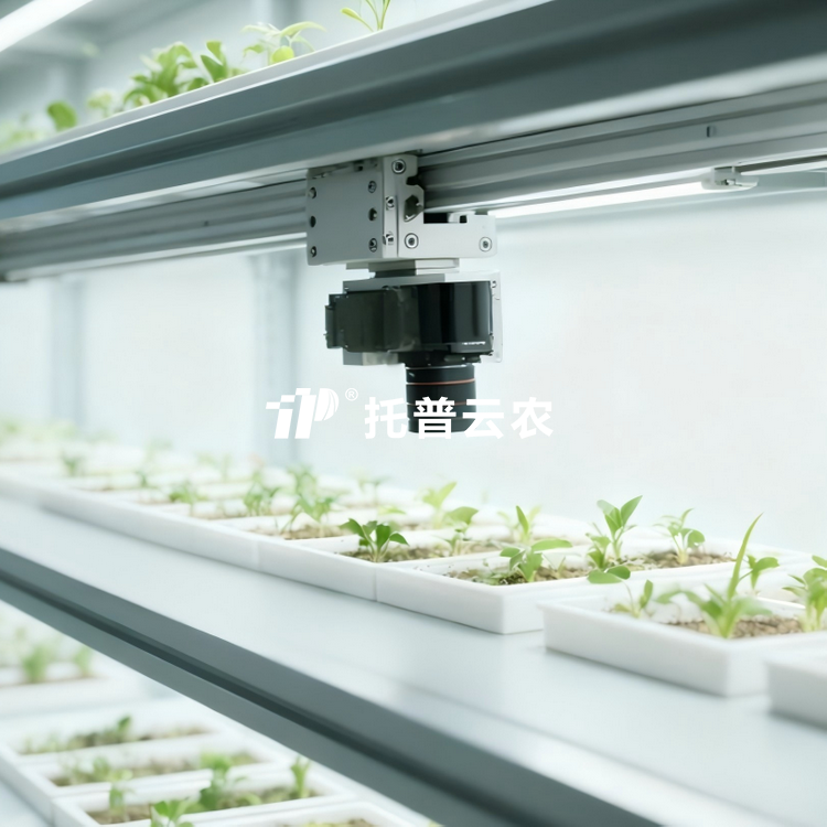 人工氣候室植物表型監測係統 TP-PlantPhy