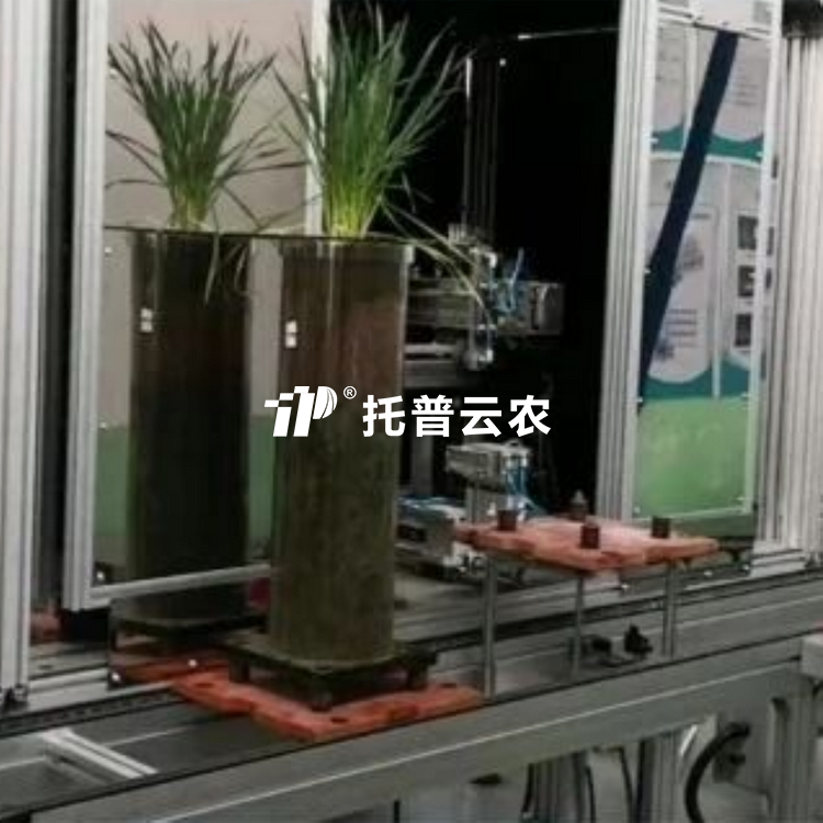 高通量植物根係表型采集分析係統（根筒式） TPN-GXY-GT