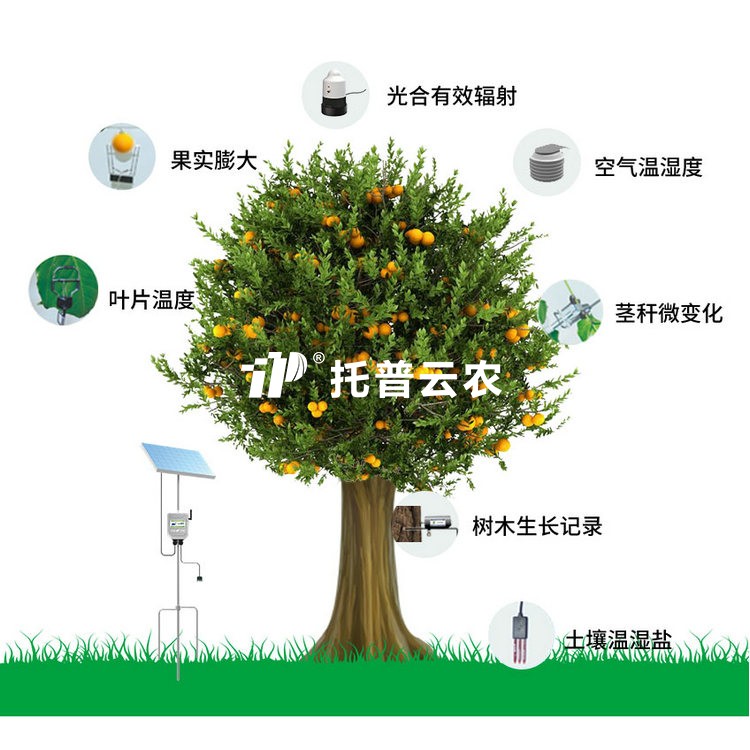 植物生理生態監測係統