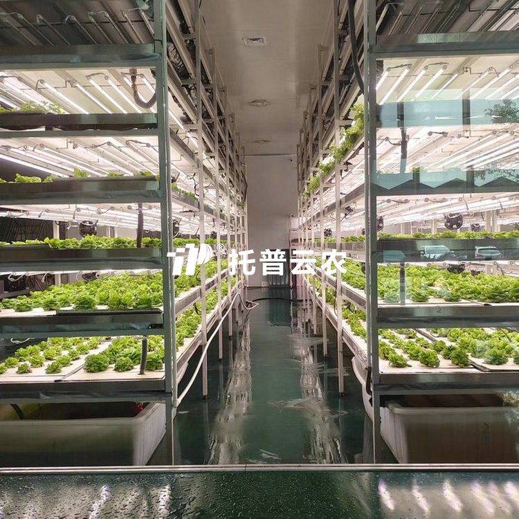 植物組培室/