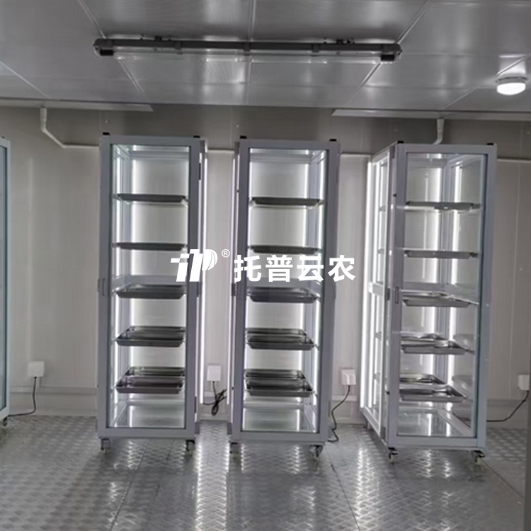 茄子污视频网站下载發芽室/