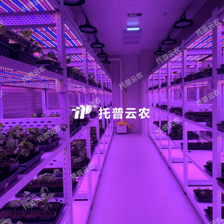 培養架型人工氣候室介紹|培養架型人工氣候室核心亮點有哪些？