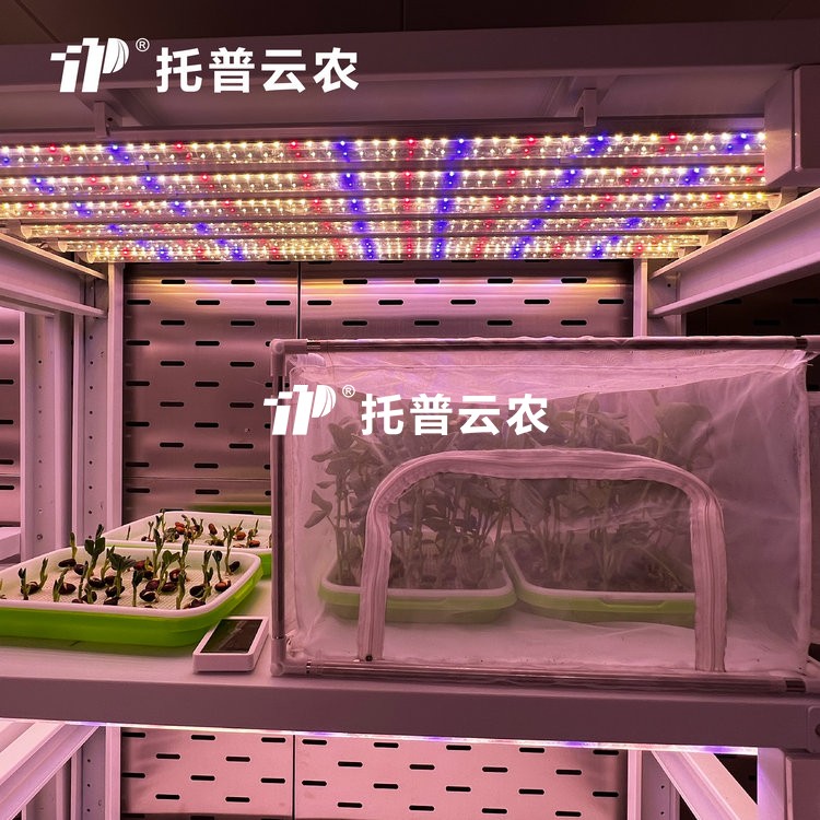頂置光源人工氣候室是什麽？