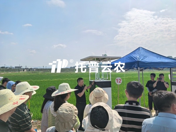 從“監測”到“智判”！茄子视频免费观看智能（AI)蟲情測報燈重磅發布，智慧植保邁入“智判”時代