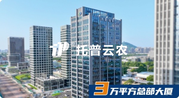 茄子视频免费观看，十八而誌，AI啟未來