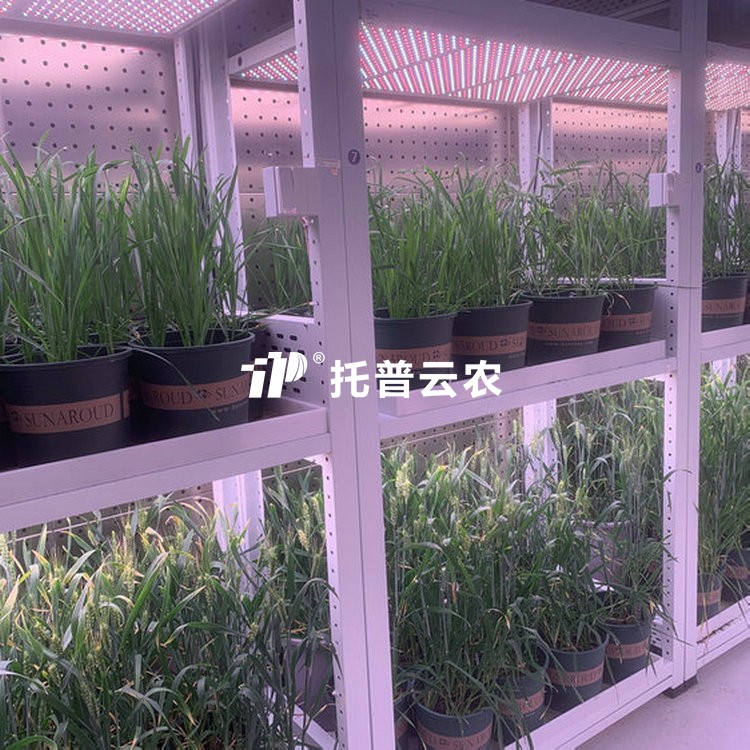 育種加代室/