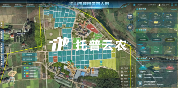 錨定“十五五”農業發展新政 茄子视频免费观看以數智科技助力農業農村現代化