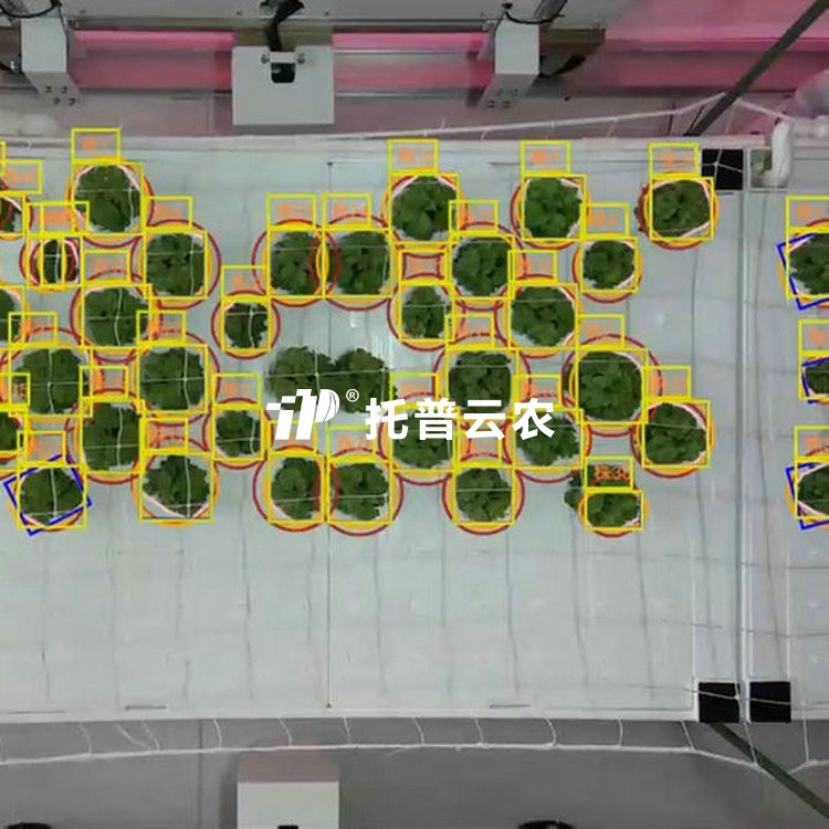 移動式單軸龍門表型采集分析係統 TP-MPR-I2/TP-MPR-I3/TP-MPR-I4