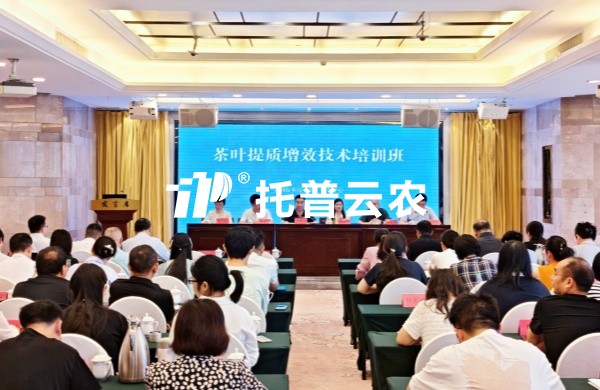 AI技術賦能茶產業提質增效｜茄子视频免费观看亮相全國茶葉提質增效技術培訓班