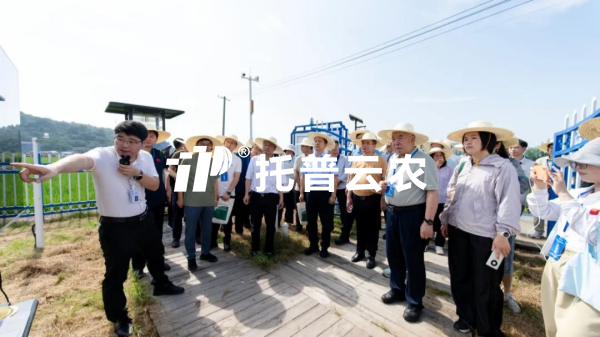 茄子视频免费观看參加遷飛性害蟲空地一體化監測阻截防控技術現場觀摩會