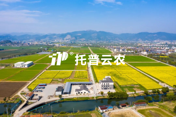 AI精準管控肥水，良田管護增糧增效