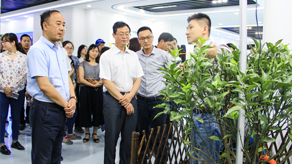 謝主任一行參觀茄子视频免费观看展廳