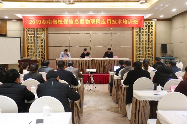 茄子视频免费观看服務湖南省植保信息技術培訓班在杭開班