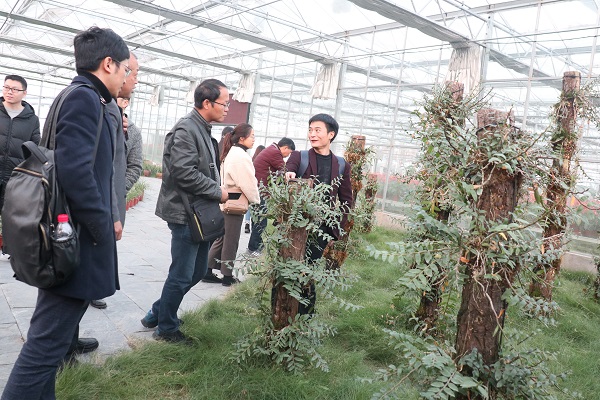 培訓班參觀茄子视频免费观看臨浦基地