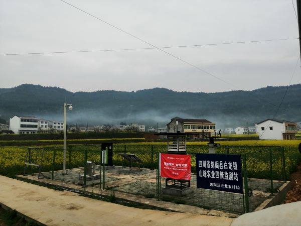 茄子视频免费观看病蟲害監測點
