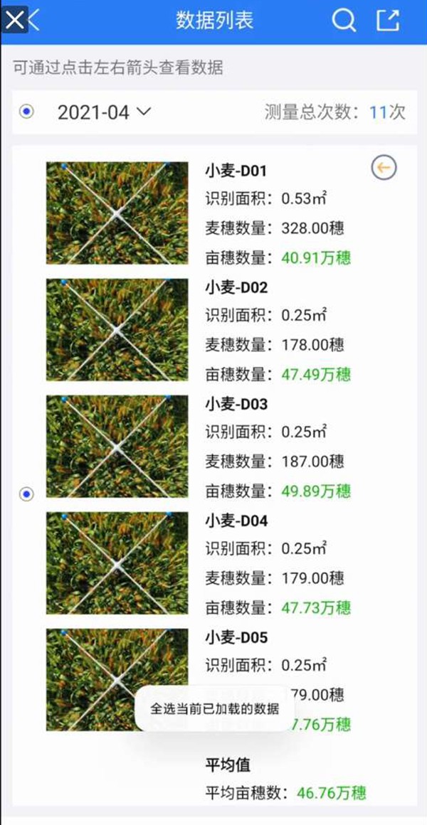小麥畝穗數測量係統