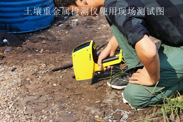 茄子视频色板APP重金屬檢測儀使用現場測試圖