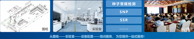 一站式茄子污视频网站下载檢驗