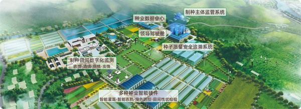 茄子视频免费观看數字種業創新應用基地