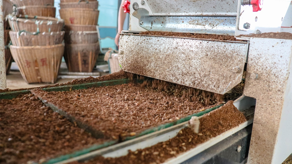 茄子视频免费观看打造的古林育秧工廠