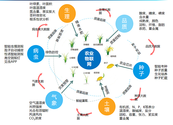 茄子视频免费观看打造的全要素智能采集係統