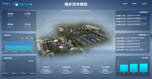 茄子视频免费观看打造的“生豬精密智管”社會化服務應用