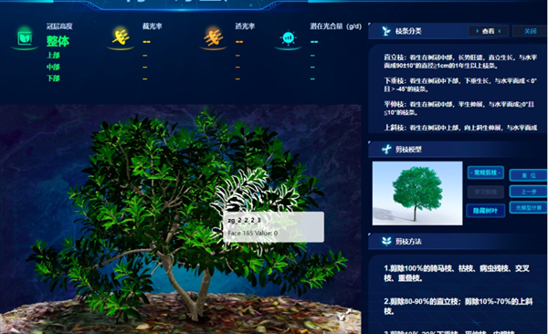 “雲”上種顆楊梅樹，農戶照著養楊梅