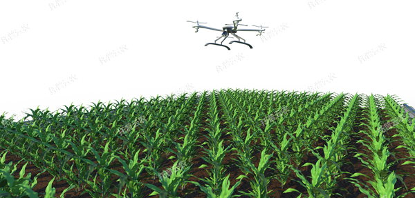 田間無人機式植物高通量表型采集分析平台_600.png