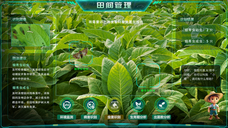 煙草蟲害識別.png