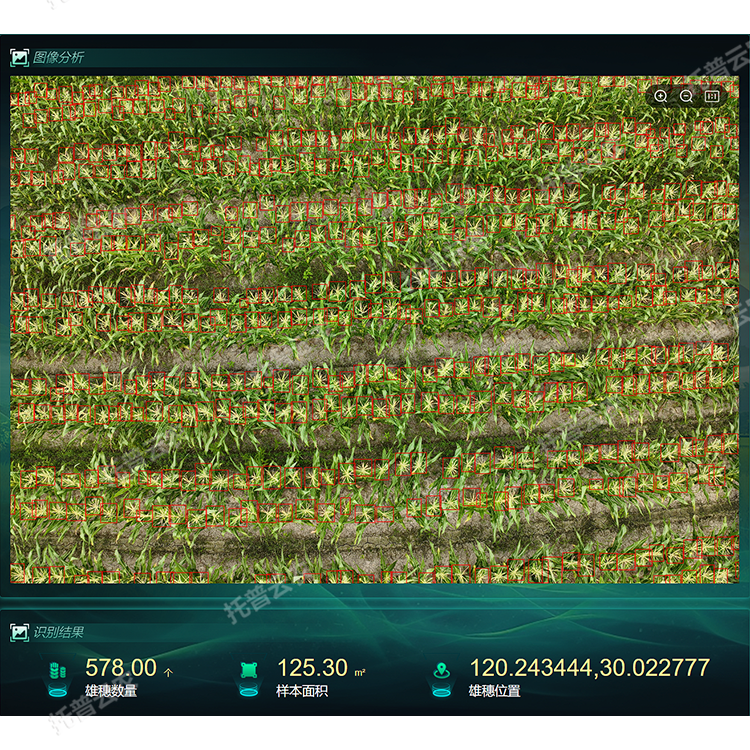 2.png