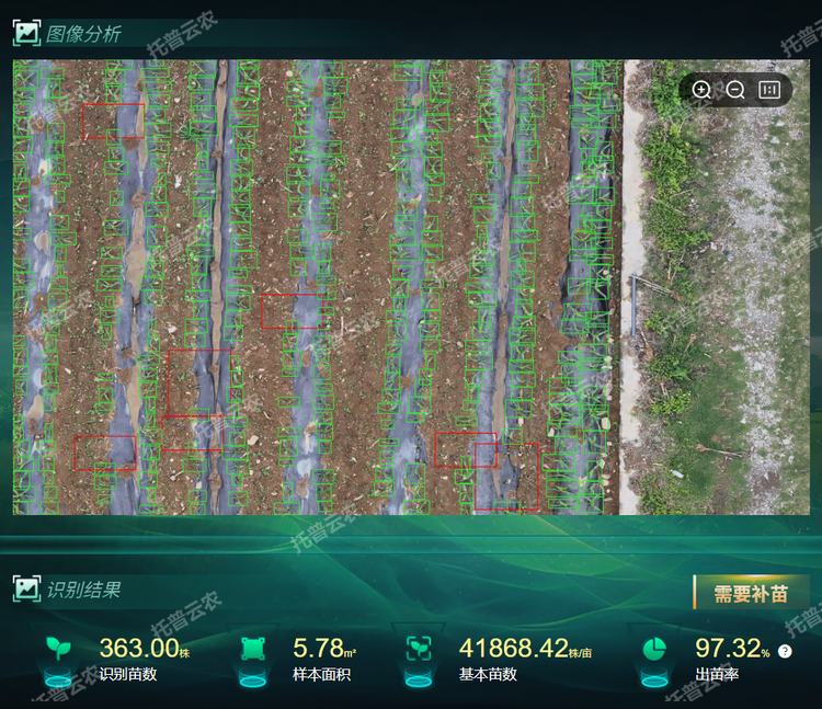 出，苗率.png