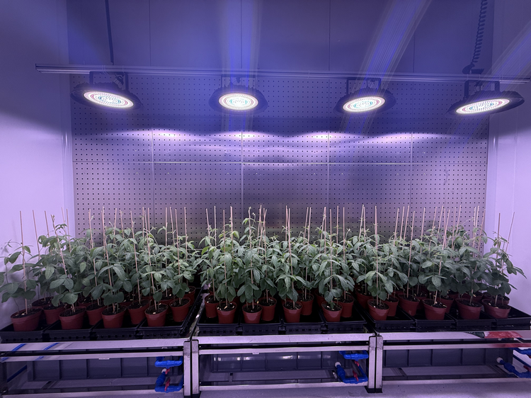 4-3.png